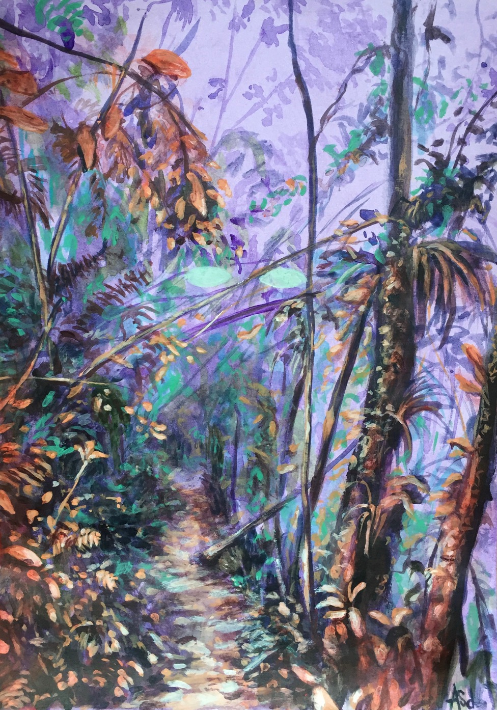 Évasion – Atua, forêt pluviale 02